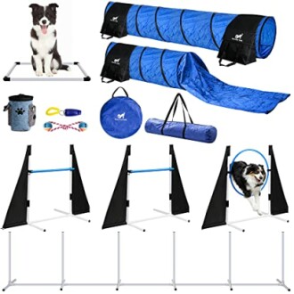 Premium Dog Agility Training Equipment