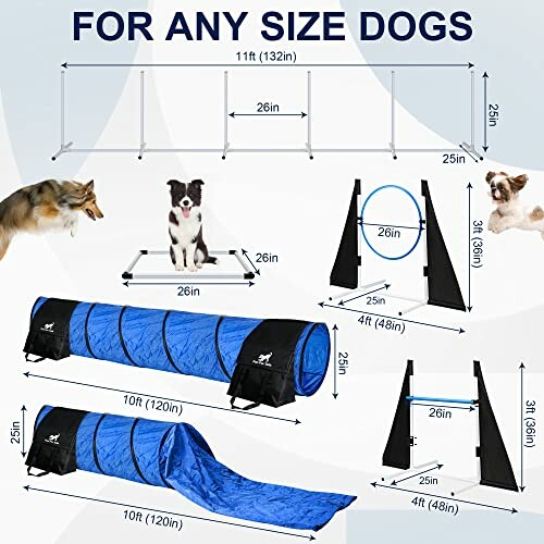 Diagram of dog agility training equipment including tunnel, hurdles, and hoop for any size dogs.