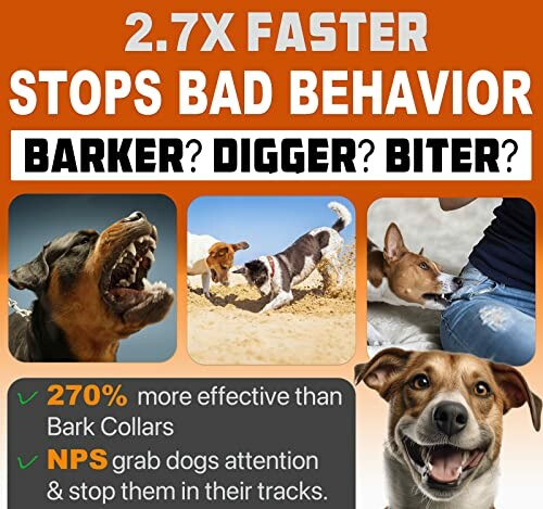 Poster advertising dog behavior control with images of dogs barking, digging, and biting, highlighting the importance of effective training tools.