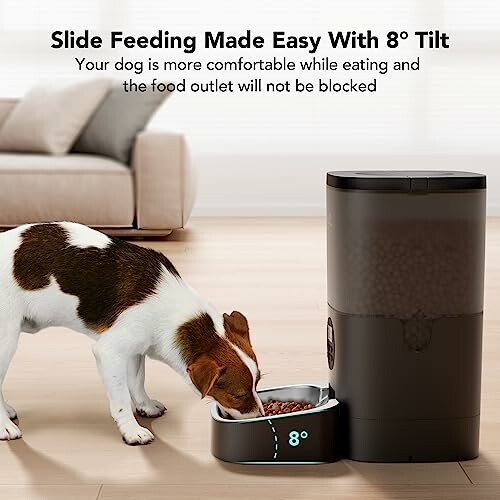 Dog eating from tilted food bowl beside automatic feeder.