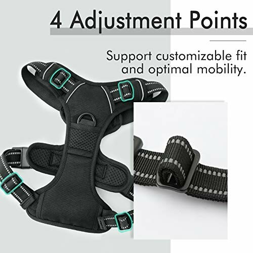 Dog harness with 4 adjustment points for customizable fit.