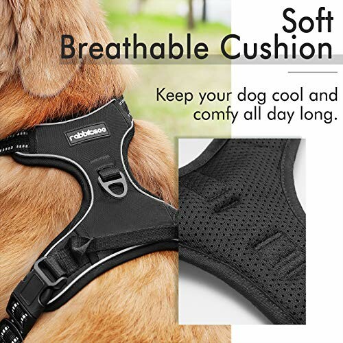 Dog wearing a soft breathable cushion harness.