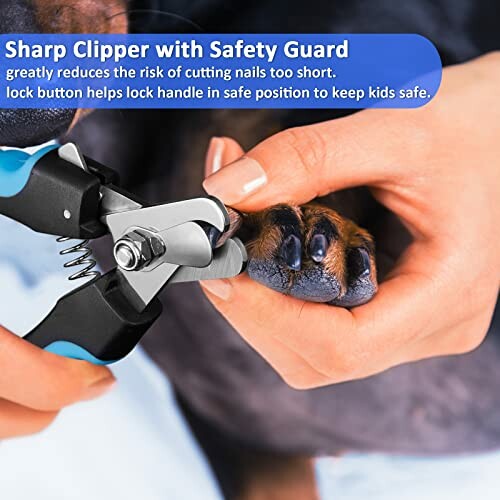 Person using sharp clipper with safety guard on dog's nails.