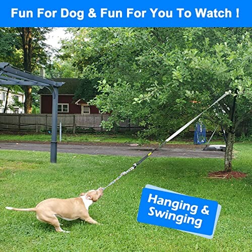 Dog playing with hanging toy in backyard.