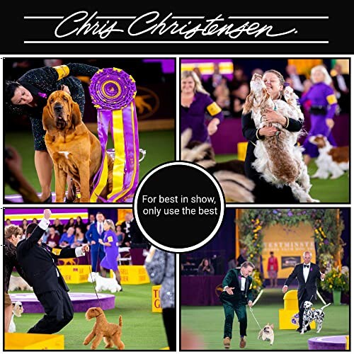 Collage of dogs and handlers at a competitive dog show.