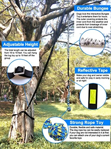 Hanging dog toy on tree with bungee, adjustable height, reflective tape, and rope features.