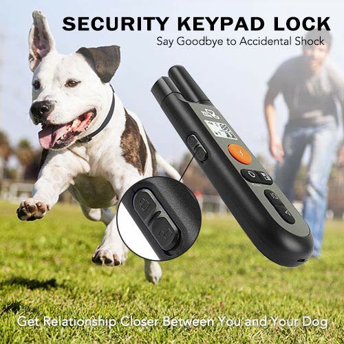 Dog running outdoors with focus on a remote control device for a security keypad lock.