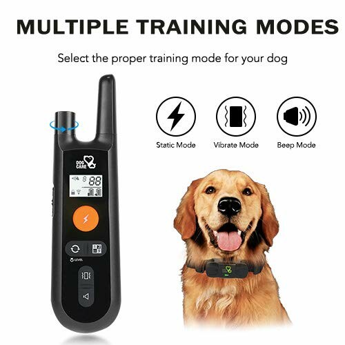 Dog training collar with multiple modes and a golden retriever wearing a collar.