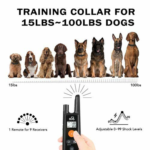 Training collar for dogs weighing 15lbs to 100lbs with remote control.