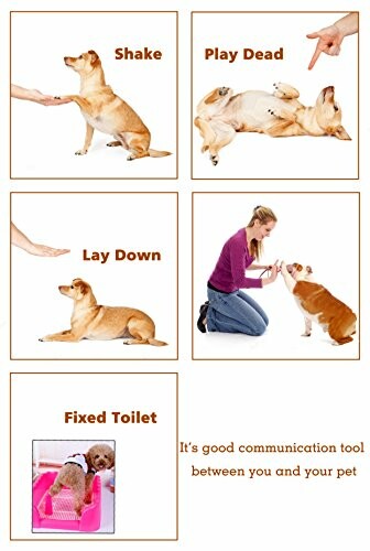 Dog training methods: shake, play dead, lay down, and fixed toilet.