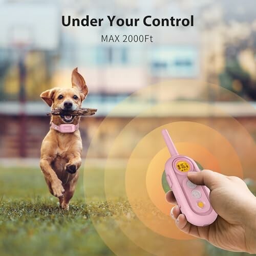 Dog running with stick and remote control in hand.