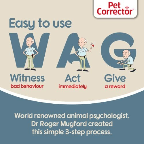 Infographic on 3-step pet behavior correction process: Witness, Act, Give.