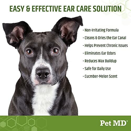 Dog with ear care solution benefits listed alongside.